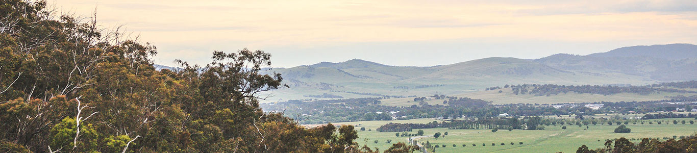 Palerang Podiatry